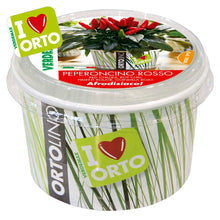 Carica l'immagine nel visualizzatore di Gallery, Ortolino Peperoncino rosso