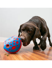 Carica l'immagine nel visualizzatore di Gallery, KONG Rewards Wally