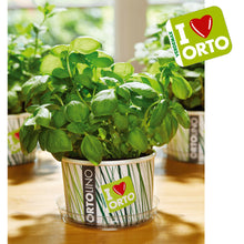 Carica l'immagine nel visualizzatore di Gallery, Ortolino Basilico