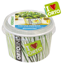 Carica l'immagine nel visualizzatore di Gallery, Ortolino Menta piperita
