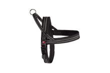 Carica l'immagine nel visualizzatore di Gallery, Pettorina "DynamicDog Plus" fluorescente