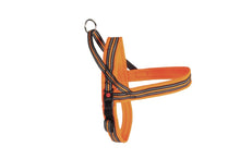 Carica l'immagine nel visualizzatore di Gallery, Pettorina "DynamicDog Plus" fluorescente