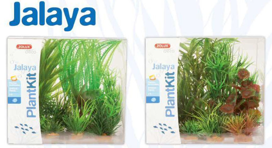 Plant Kit Jalaya