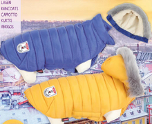 Carica l'immagine nel visualizzatore di Gallery, Piumino impermeabile con cappuccio