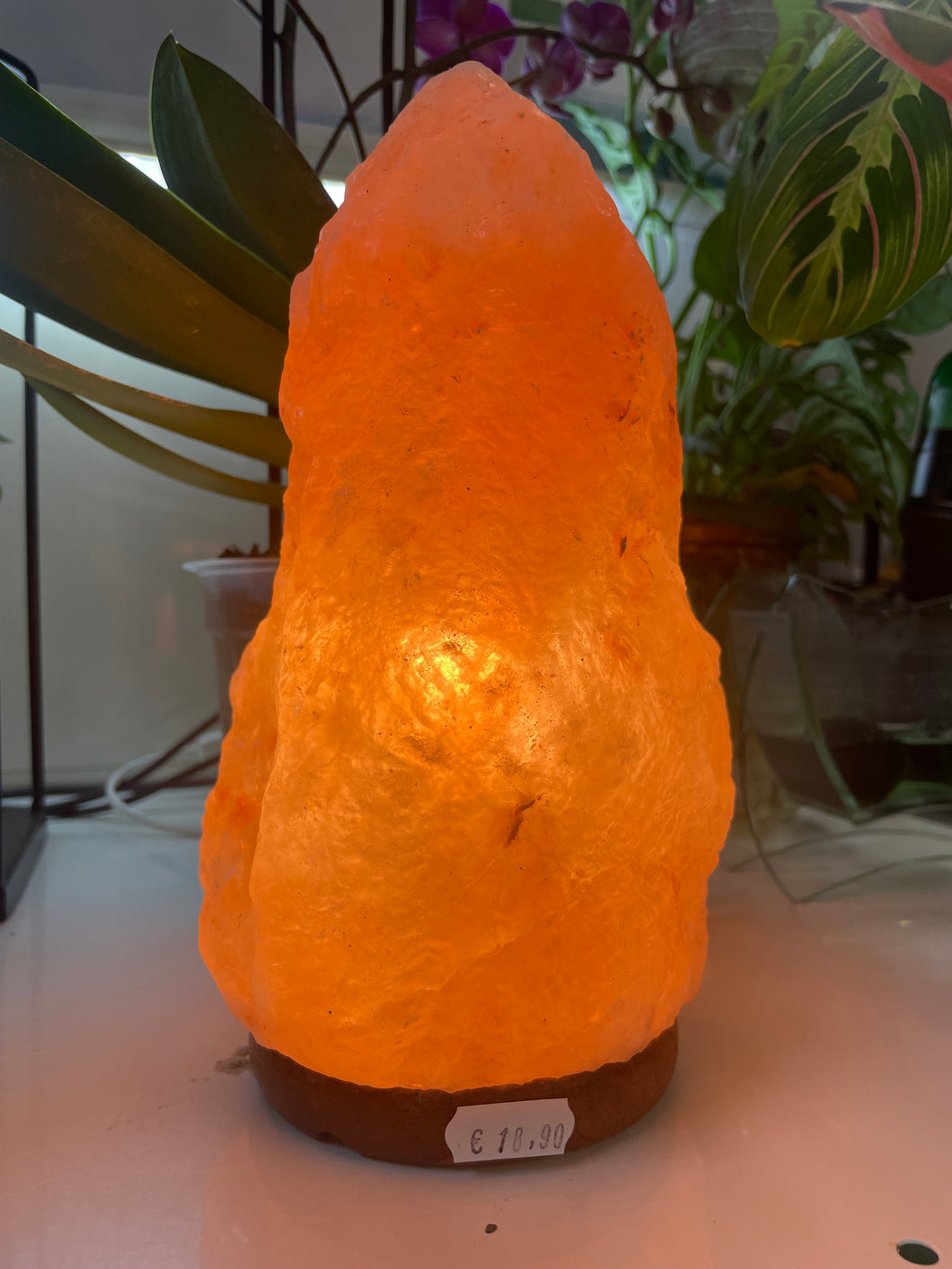 LAMPADA DI SALE by Voganto