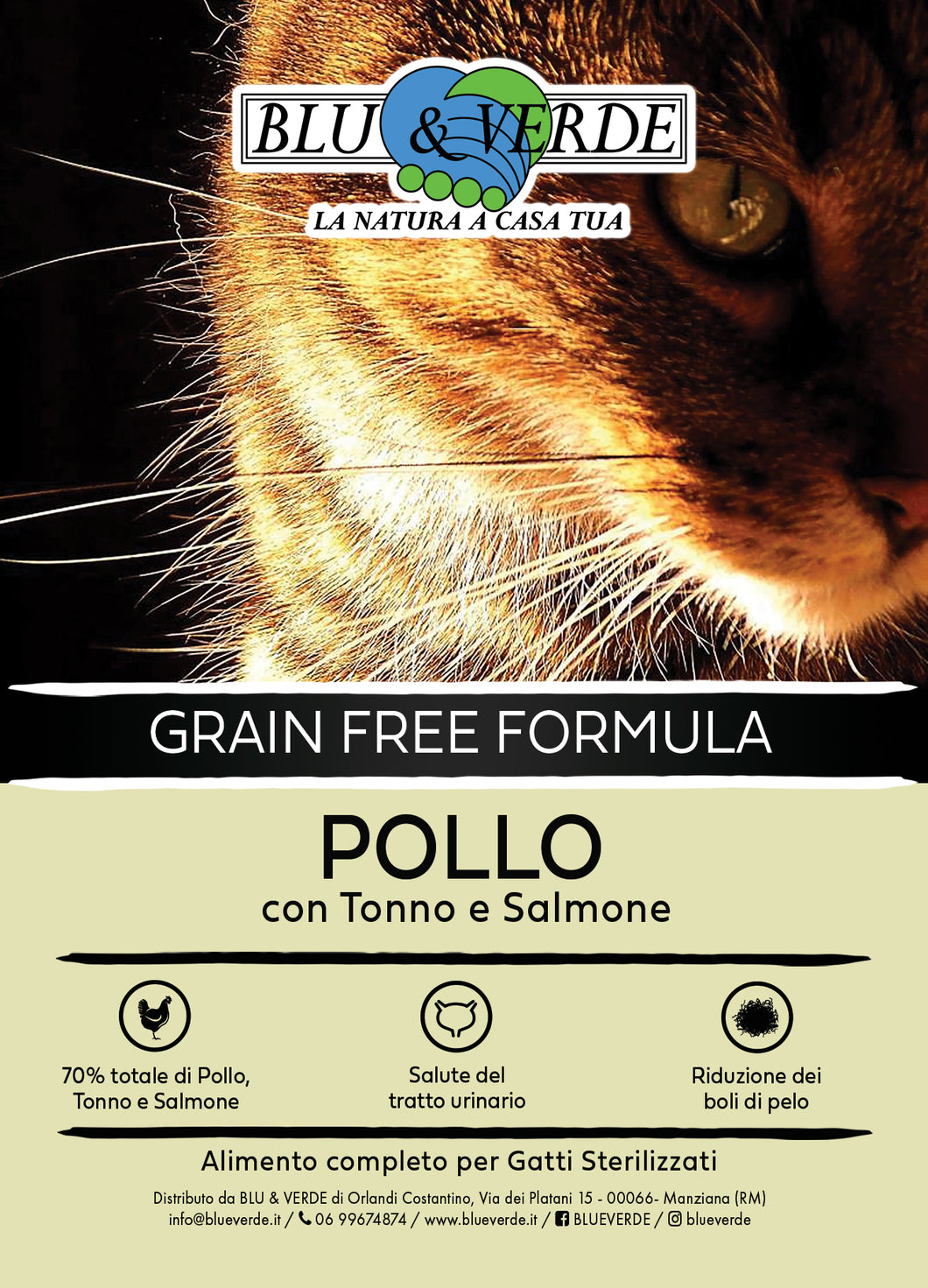 B&V Grain Free Formula POLLO