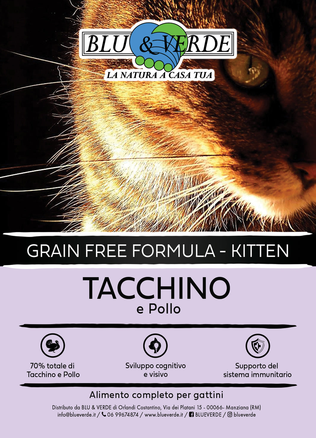 B&V Grain Free Formula - Kitten TACCHINO