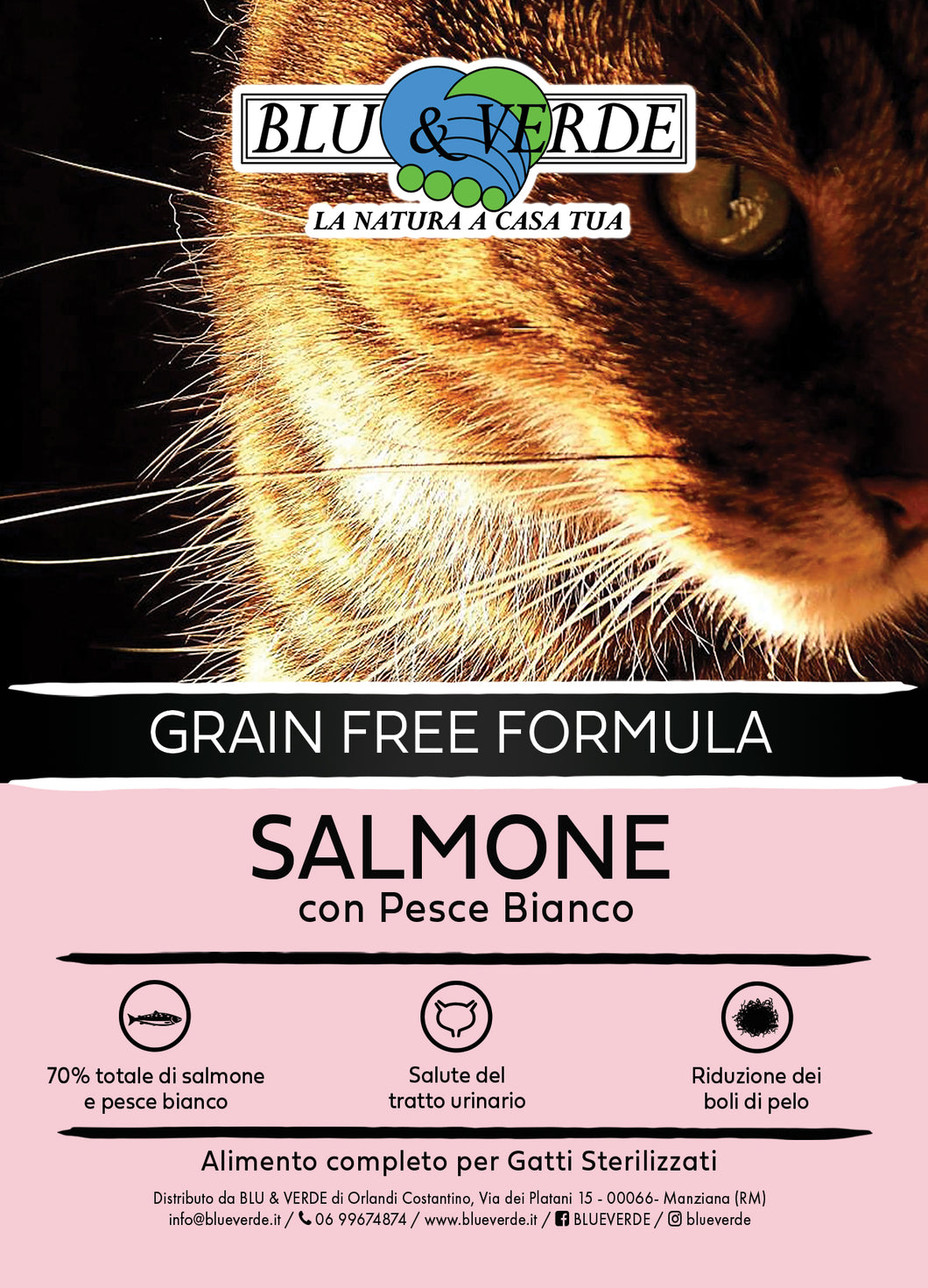 B&V Grain Free Formula SALMONE