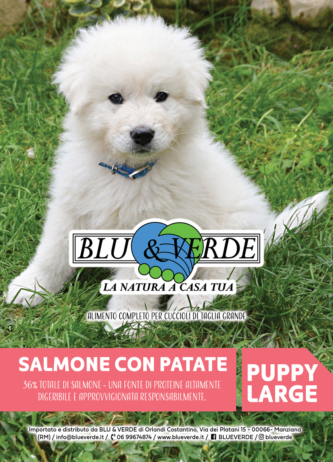 B&V Superpremium Puppy SALMONE CON PATATE - Taglia grande
